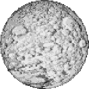 The moon
